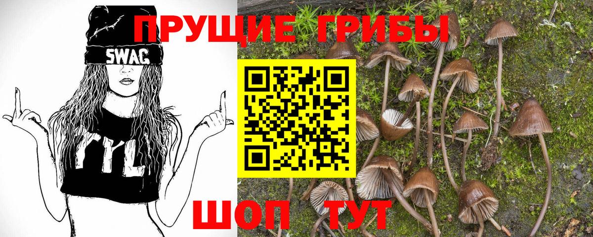 МЕФ кристаллы  ГАШИШ  Каннабис  Кокаин  Купить наркотики  Вход с VPN  Новозыбков  Марихуана  Лсд 25 