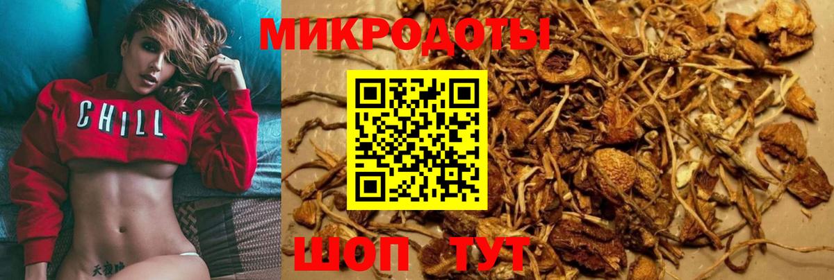 купить закладку  Псилоцибиновые грибы мицелий  Вход с VPN  Новозыбков  Псилоцибиновые грибы мухоморы 