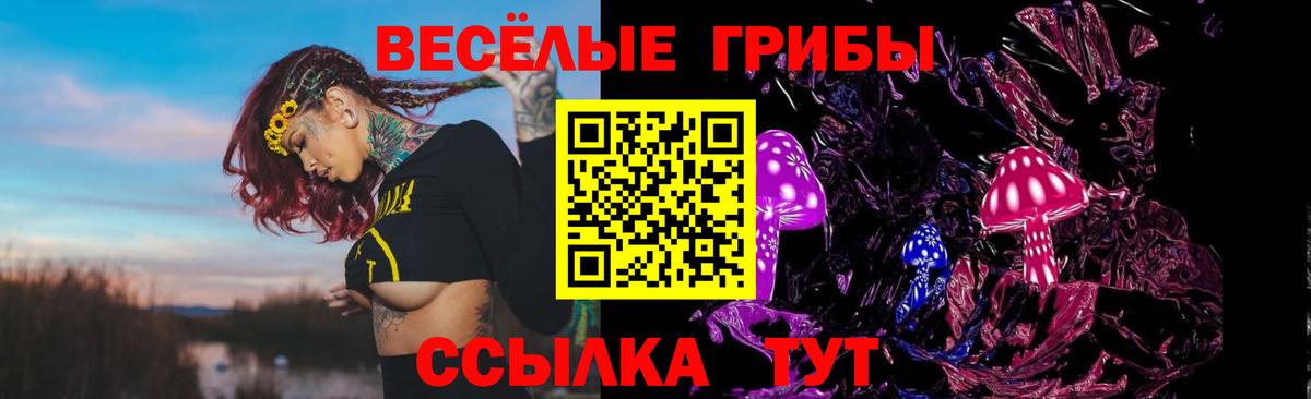 Псилоцибиновые грибы MAGIC MUSHROOMS Новозыбков